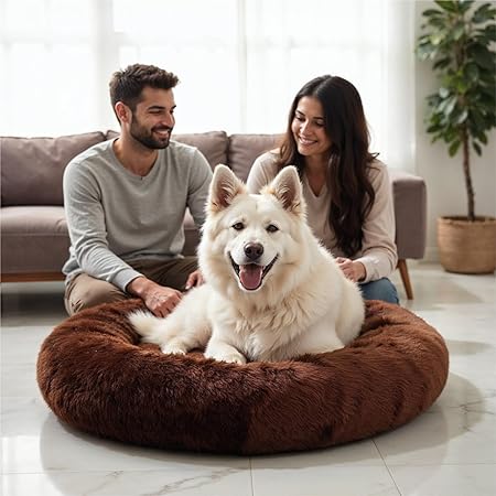Bed for Dogs